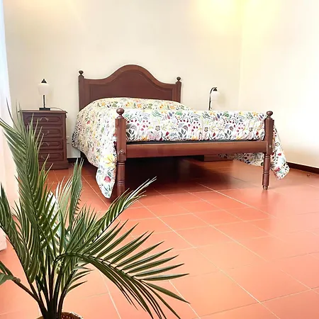 Casa Dos Avos,